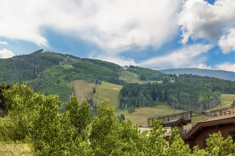 Other - 100 E Meadow Dr #25, Vail, CO 81657 photo 2 of 22