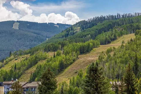 Other - 100 E Meadow Dr #25, Vail, CO 81657 photo 20 of 22