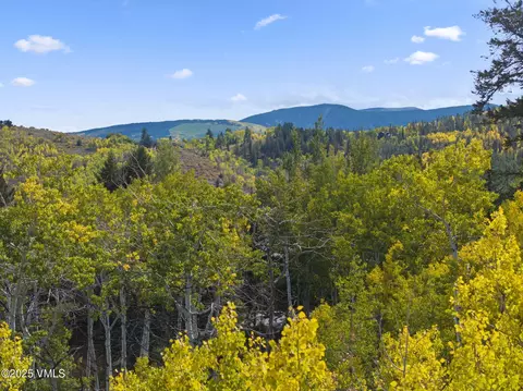 369 Bearden Rd, Edwards, CO 81632 photo 10