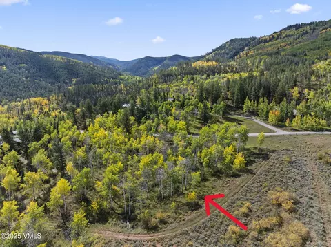 369 Bearden Rd, Edwards, CO 81632