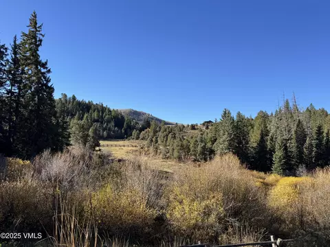 tbd Salt Creek Rd, Eagle, CO 81631 photo 6