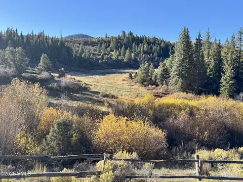 tbd Salt Creek Rd, Eagle, CO 81631 photo 10