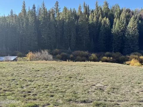 tbd Salt Creek Rd, Eagle, CO 81631 photo 3