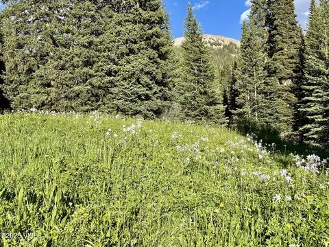 001 Eighth, Eagle, CO 81631 photo 4