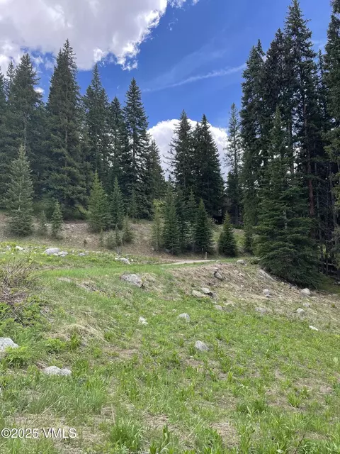 001 Eighth, Eagle, CO 81631 photo 11