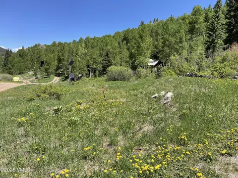 001 Eighth, Eagle, CO 81631