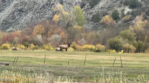 Other - tbd Brush Creek Stables Rnch, Eagle, CO 81631 photo 4 of 12