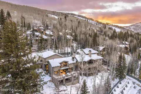 Other - 175 Forest Rd, Vail, CO 81657 photo 9 of 10