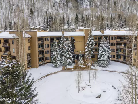 1650 Fallridge Rd #202, Vail, CO 81657 photo 32