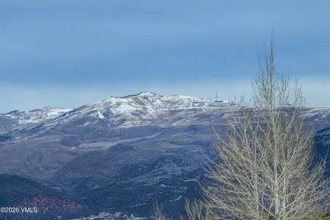 1037 Hernage Creek Rd, Eagle, CO 81631 photo 24