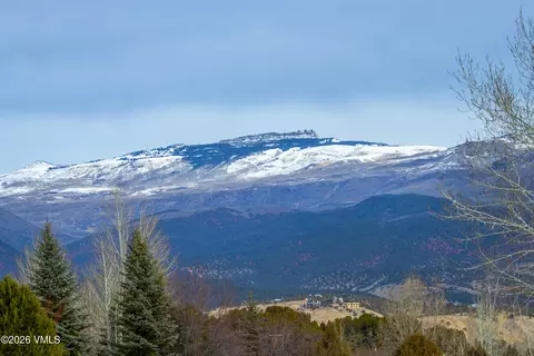 1037 Hernage Creek Rd, Eagle, CO 81631 photo 5