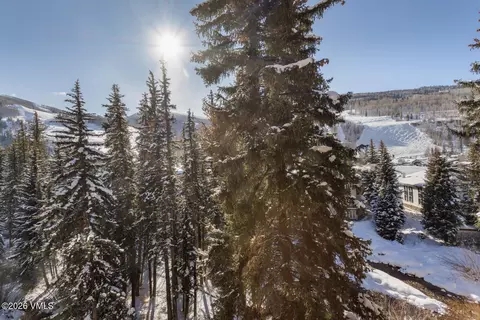 Other - 292 E Meadow Drive Dr #558, Vail, CO 81657 photo 8 of 8
