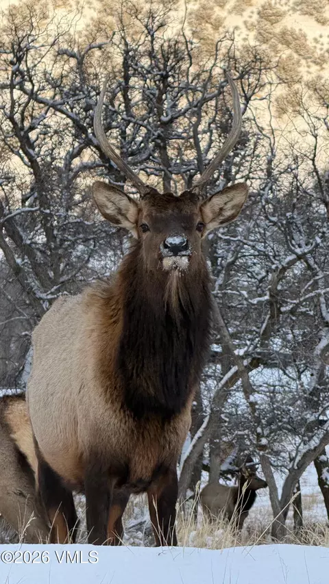Other - 481 Hunters View Ln, Eagle, CO 81631 photo 7 of 7