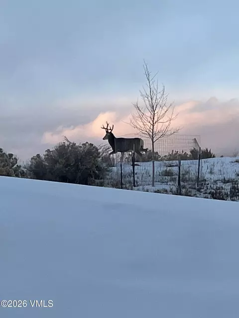 Other - 481 Hunters View Ln, Eagle, CO 81631 photo 1 of 7