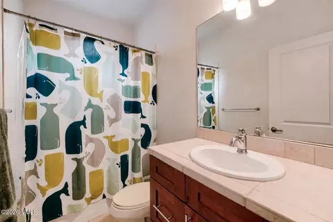 Bath - 835 Sylvan Lake Rd, Eagle, CO 81631 photo 5 of 5