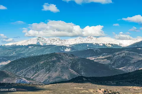 308 N Penstemon Ln, Eagle, CO 81631 photo 8