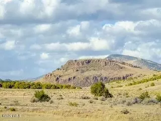 553 E Pfeiffer Loop, South Fork, CO 81154 photo 4