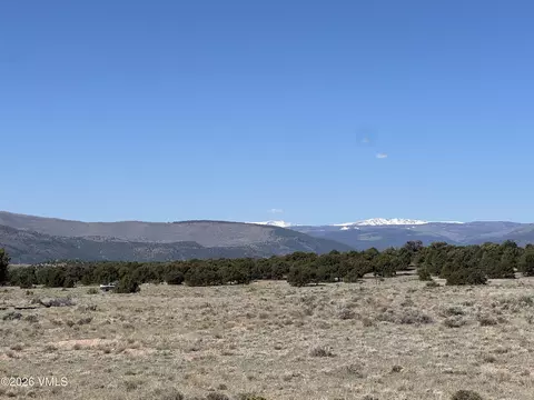 553 E Pfeiffer Loop, South Fork, CO 81154