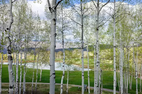 Other - 209 Forest Trl, Edwards, CO 81632 photo 4 of 53