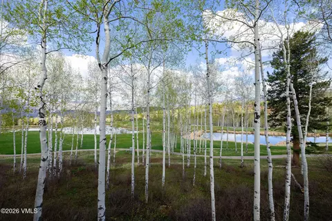 Other - 209 Forest Trl, Edwards, CO 81632 photo 5 of 53