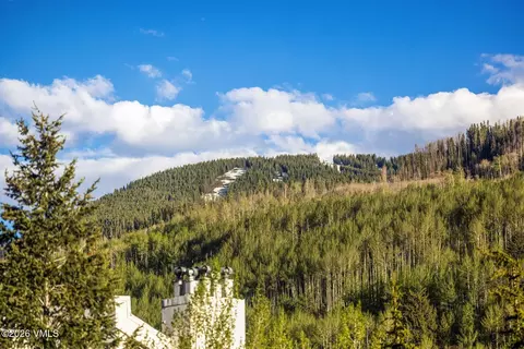 Other - 521 E Lionshead Cir # 405, Vail, CO 81657 photo 8 of 9