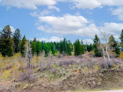 341 Graham Rd, Edwards, CO 81632 photo 4