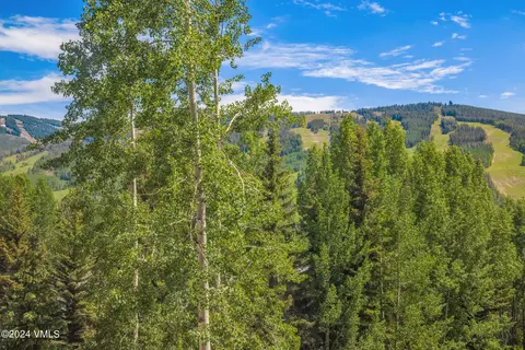 Other - 784 Potato Patch Dr W, Vail, CO 81657 photo 17 of 17