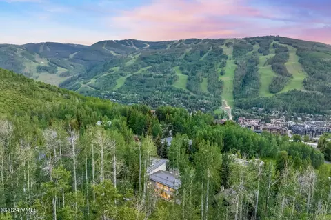Other - 784 Potato Patch Dr W, Vail, CO 81657 photo 15 of 17
