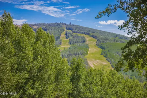 Other - 784 Potato Patch Dr W, Vail, CO 81657 photo 16 of 17