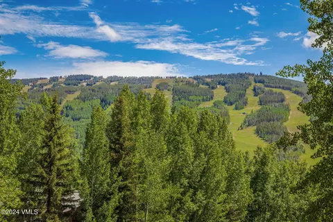 Other - 784 Potato Patch Dr W, Vail, CO 81657 photo 3 of 17