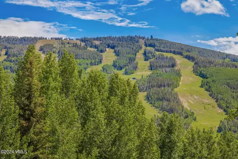 Other - 784 Potato Patch Dr W, Vail, CO 81657 photo 1 of 17