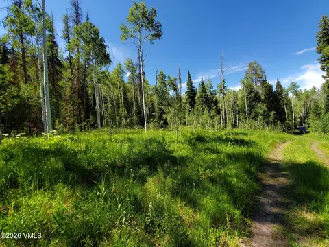 20381 King Bolt Trl, Oak Creek, CO 80467