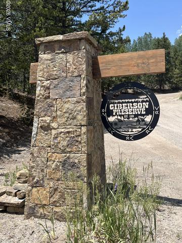 430 Giberson Rd, Frisco, CO 80443