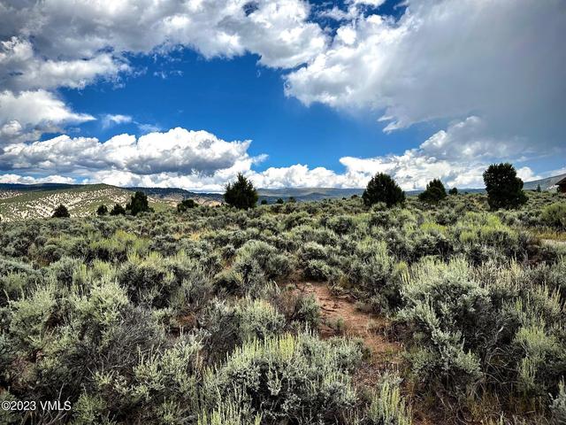 1351 E Haystacker Dr, Eagle, CO 81631