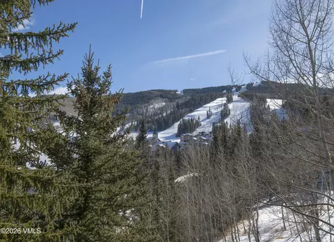 Other - 1120 Village Rd #8, Beaver Creek, CO 81620 photo 14 of 21