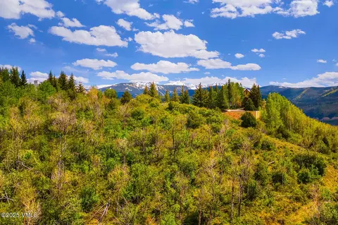 114 Alhambra Pl, Edwards, CO 81632 photo 15