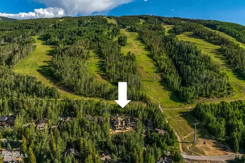 Other - 466 Forest Rd, Vail, CO 81657 photo 13 of 13