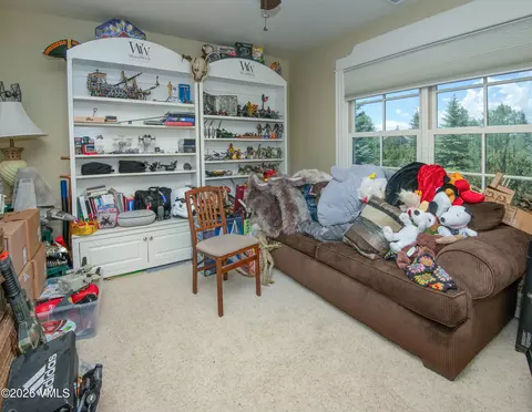 390 Harrier Cir, Eagle, CO 81631 photo 22