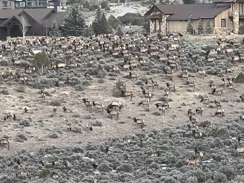390 Harrier Cir, Eagle, CO 81631 photo 46