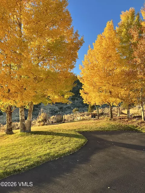 390 Harrier Cir, Eagle, CO 81631 photo 47