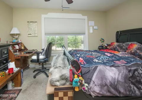 390 Harrier Cir, Eagle, CO 81631 photo 23