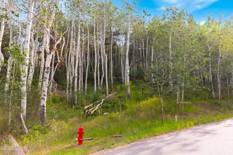 121 Elk Spring Trl, Edwards, CO 81632 photo 23