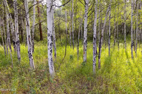 121 Elk Spring Trl, Edwards, CO 81632 photo 19