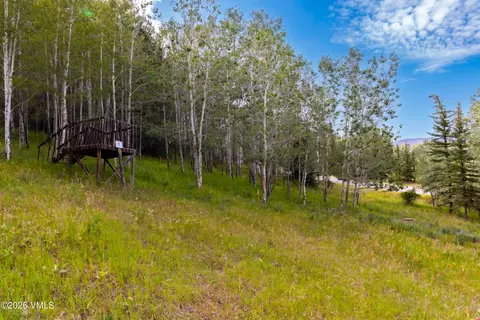 121 Elk Spring Trl, Edwards, CO 81632 photo 18