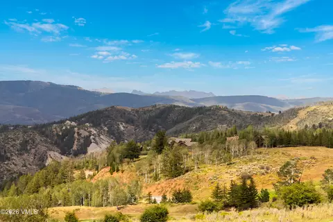 121 Elk Spring Trl, Edwards, CO 81632 photo 4