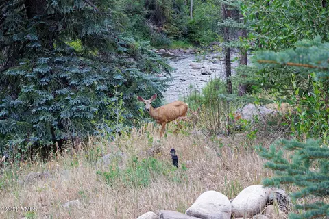 Other - 128 River Ranch Rd, Edwards, CO 81632 photo 3 of 11