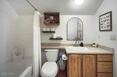 Bath - 40 Beecher St, Eagle, CO 81631 photo 4 of 5