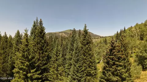 tbd New York Ave, Eagle, CO 81631 photo 12