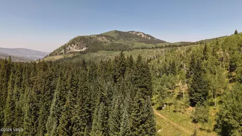 tbd New York Ave, Eagle, CO 81631 photo 10