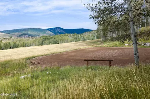 Other - 576 Pilgrim Dr, Edwards, CO 81632 photo 10 of 14